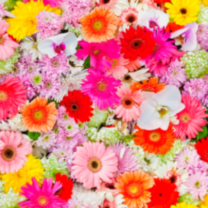 Gekleurde bloemen decoratie stof
