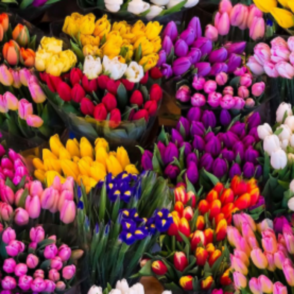 kleurrijke tulpen digitale stof